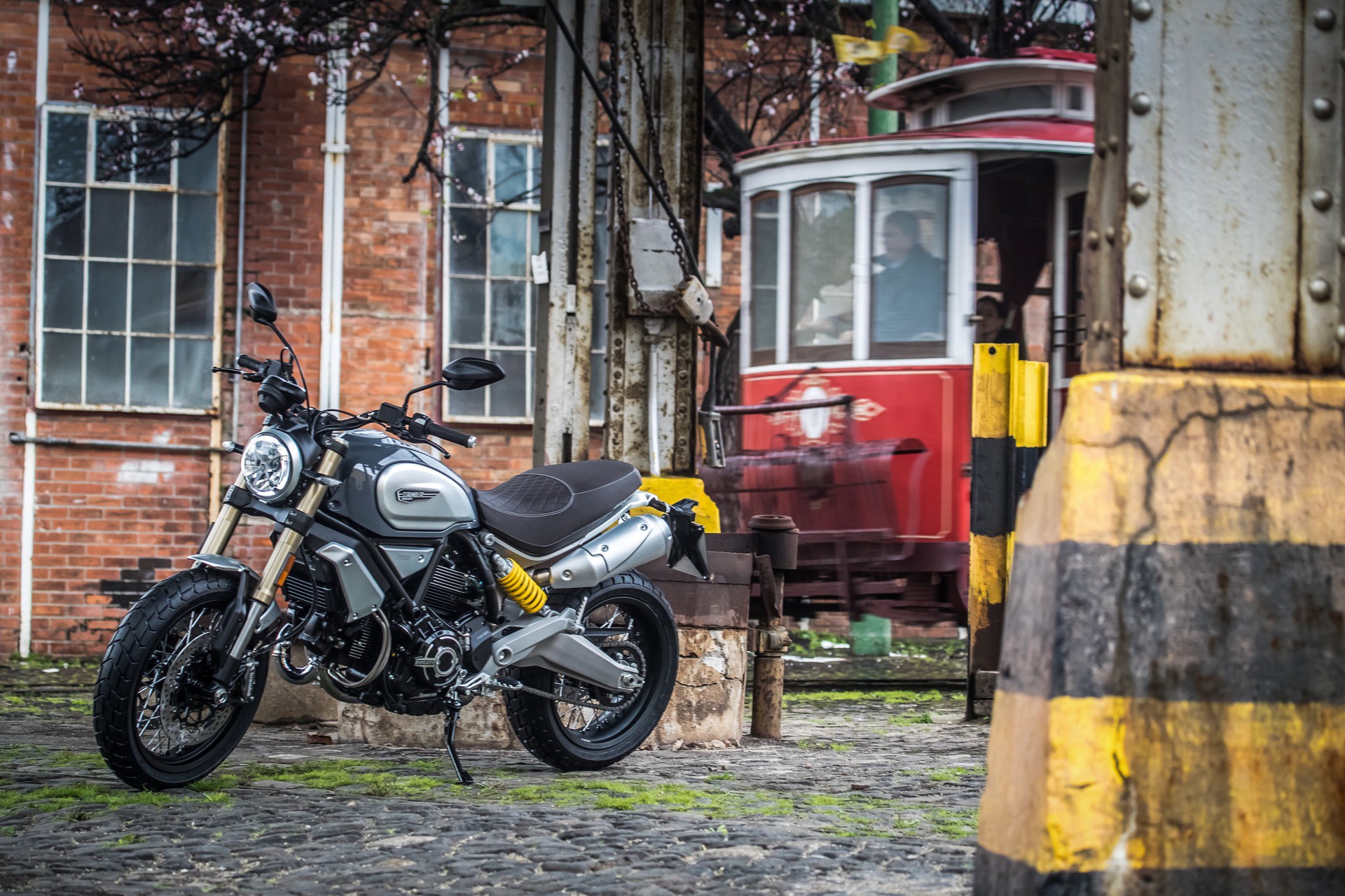 Ducati Scrambler 1100